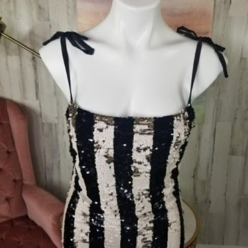 Cupcakes and Cashmere Reverse Sequin Dress - Picture 8 of 12